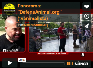 fin-especismo-veganismo