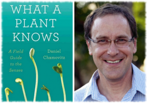 la-inteligencia-de-las-plantas