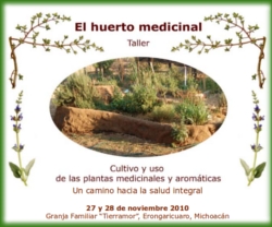 huerto-medicina