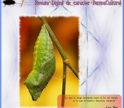 revista-permacultura-brotes-digital