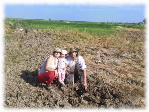 huerta-silvestre-bosque-comestible