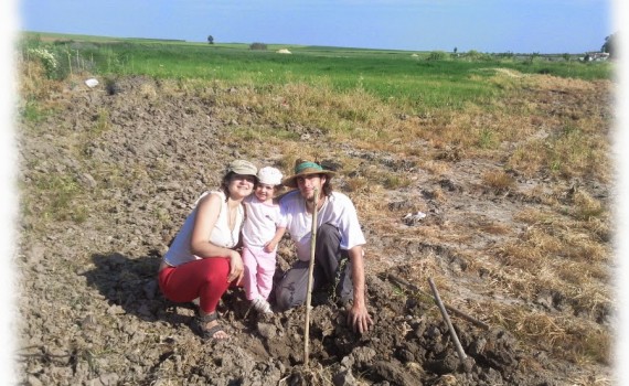 huerta-silvestre-bosque-comestible