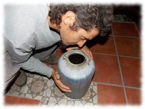 plantas-curan-plantas