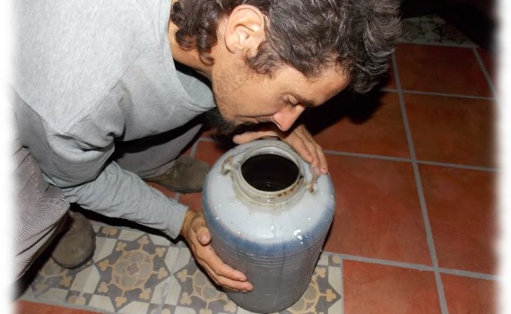 plantas-curan-plantas