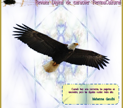 revista-permacultura-brotes-digital