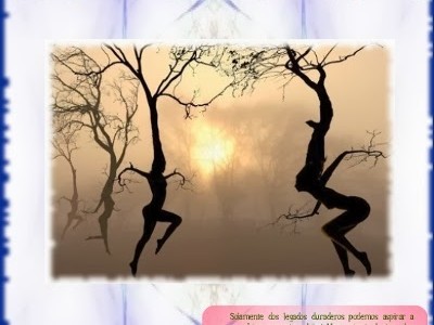 revista-permacultura-brotes-digital