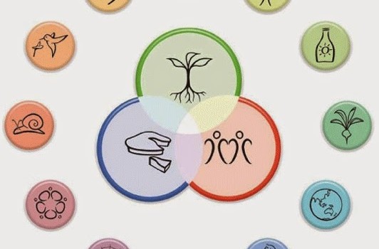 principios-diseño-permacultura