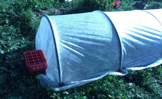 construir-invernadero