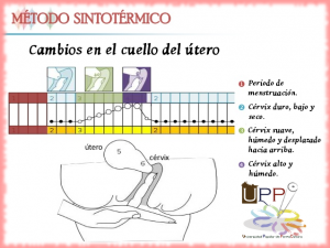 metodo-sintotermico