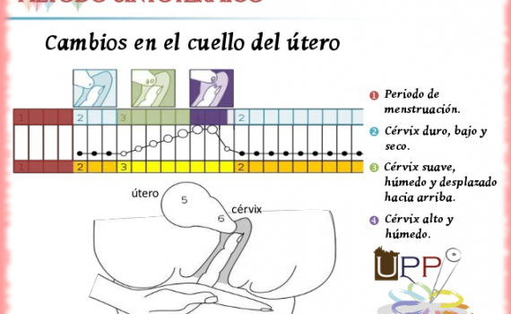 metodo-sintotermico