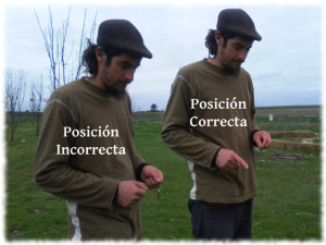 estudiar-video-radiestesia