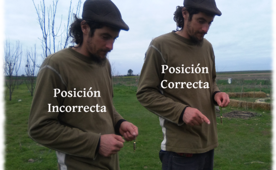 estudiar-video-radiestesia