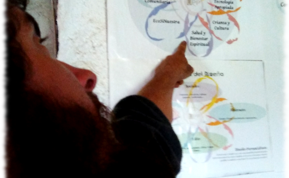 permacultivo-permacultura