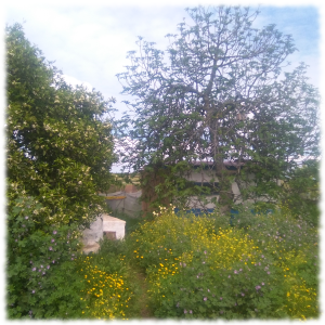 idealismo-romanticismo-rural-ruralidad