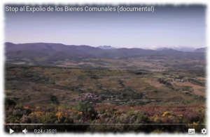 stop expolio bienes comunales
