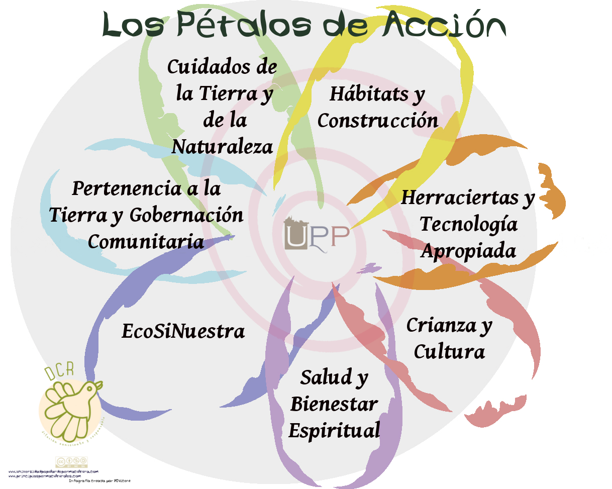 flor-permacultura-petalos-de-accion