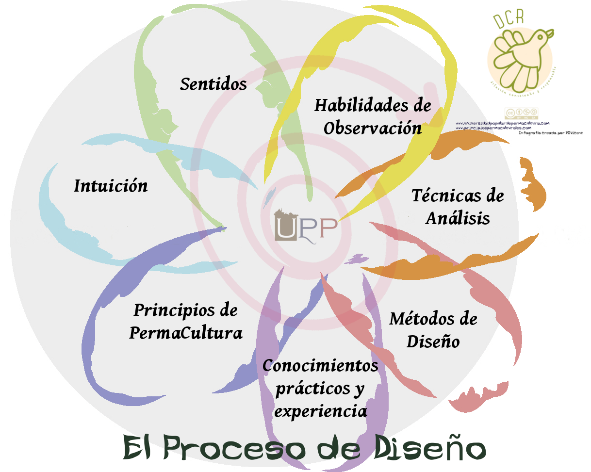 flor-proceso-diseno