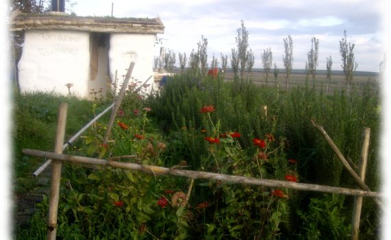 regenerar-suelos-construir-biodiversidad