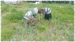 resistencia-ZAD