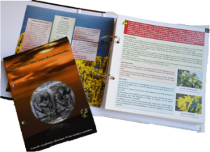 medicinas, permacultural, salud, fitoterapia