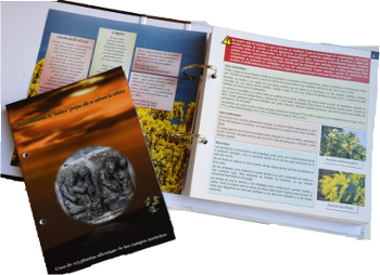 medicinas, permacultural, salud, fitoterapia
