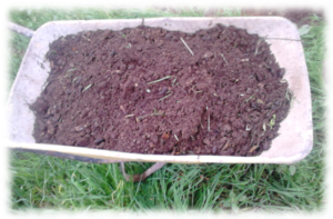como-capturar-compost
