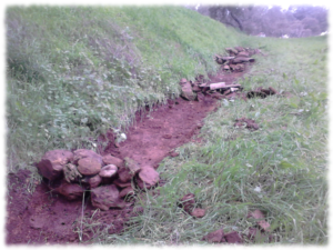capturar-obtener-compost-mantillo