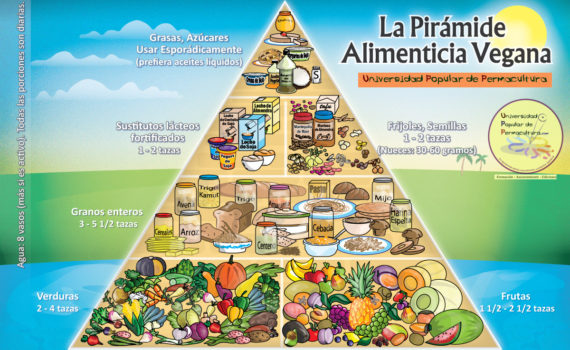piramide alimenticia vegana